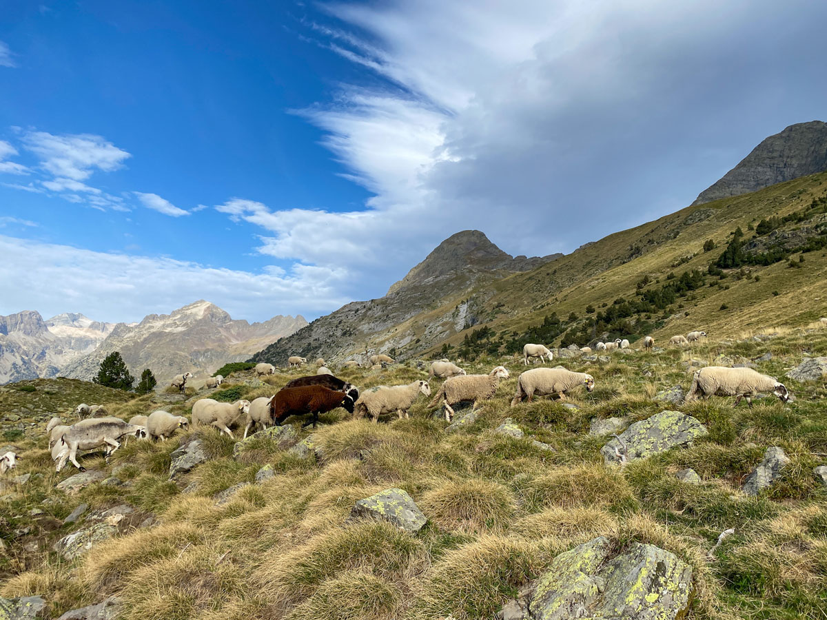 Bergwandelen in de vallei van Benasque